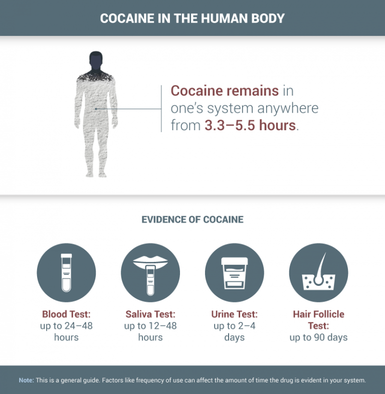 How Long Will Cocaine Show Up On A Drug Test Delphi Behavioral