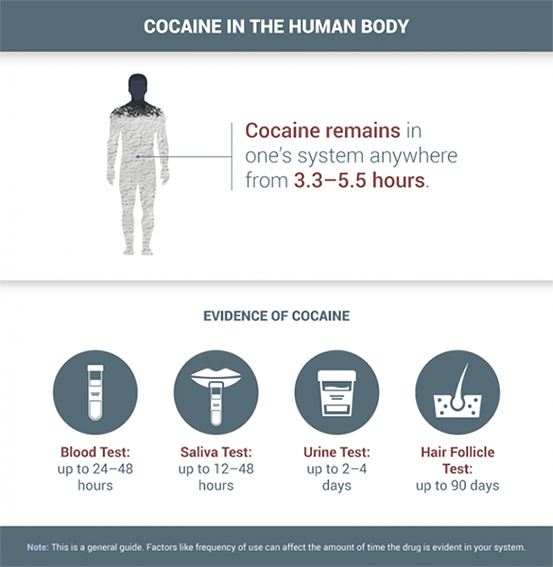 How Long Will Cocaine Show Up On A Drug Test Delphi Health Group