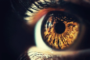 A close up of an eye with a hazel colored iris